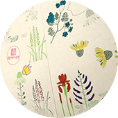 국립어린이박물관 식물 카드 속 나의 특별한 날